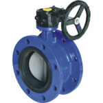 Butterfly Valve