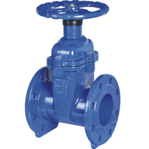 Gate Valve