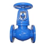 Globe Valve